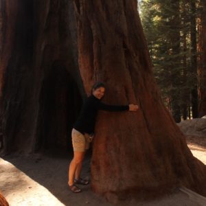 Al parecer hay un dicho que dice que no se puede dejar California sin haber abrazado un árbol, así que lo hicimos