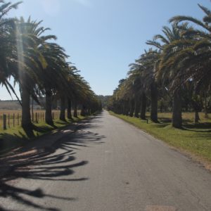 El parque se puede recorrer por caminos de asfalto como éste
