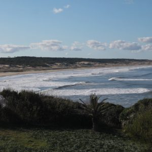 Vistas de la playa de la Moza desde el punto de avistamiento deballenas
