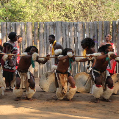 Los chicos swazi hacen uso de palos en muchos de sus bailes