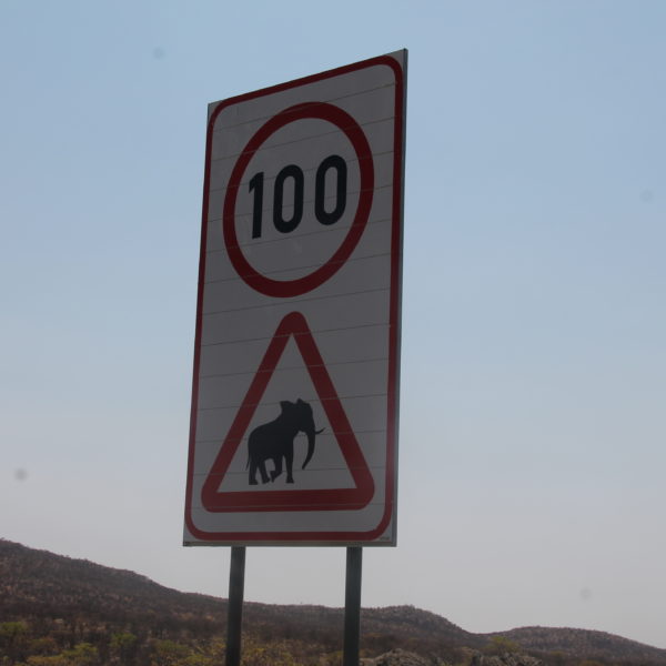 Carteles como éste, alertaban del riesgo de encontrarse con elefantes del desierto