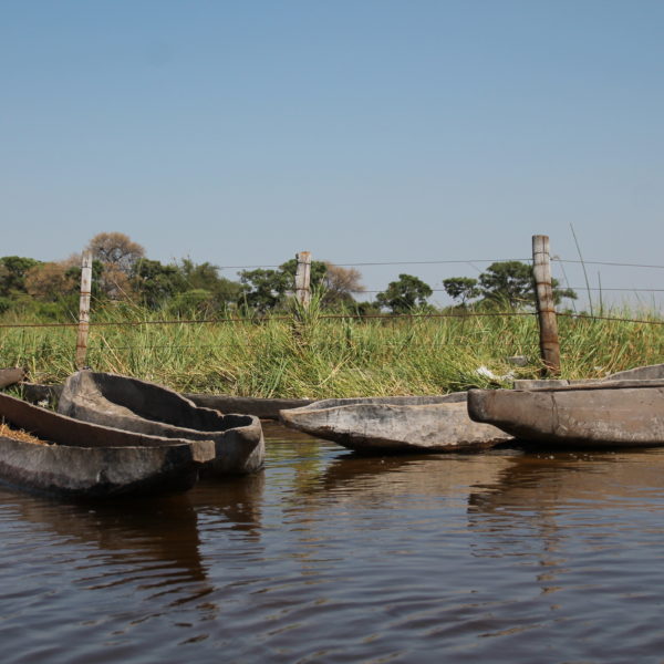 Los mokoros son estas barcas, originalmente de madera pero ahora también de plástico, que utilizan los autóctonos para moverse en el delta