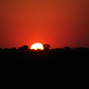 El inmenso sol de los atardeceres de África es único