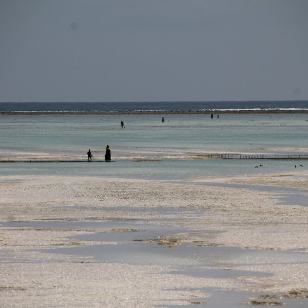 Muchos pescadores aprovechan la marea baja para pescar y otros para pasear