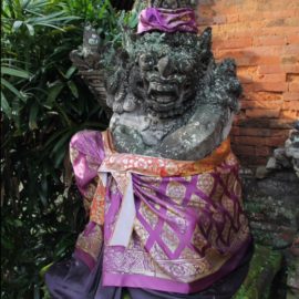Un poquito de Bali (días 257-259)