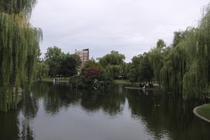 Bodas Boston Common