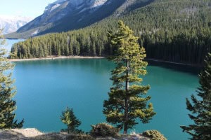 Turquesa Minnewanka