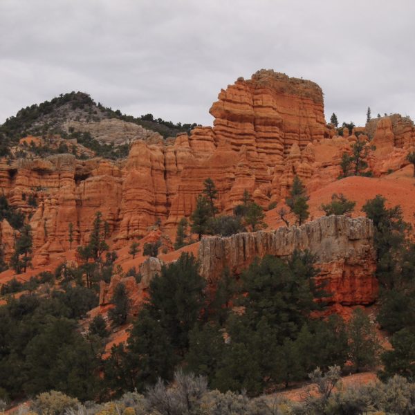 Rocas rojas del Red Canyon