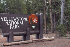 Entrada Yellowstone