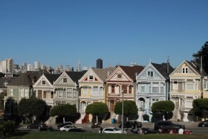 Painted Ladies