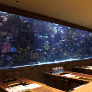 Gigantesco acuario en la entrada del Hotel Mirage, con un montón de especies tropicales
