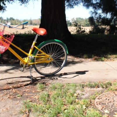 Bicicletas colores Google que encontramos en todo el campus
