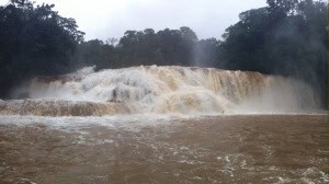 Panorámica Cascadas Agua Azul
