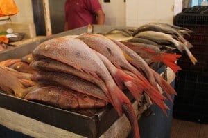 Mercado mariscos Panamá