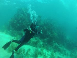 Amaia buceo