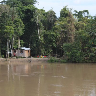 Amazonas casa