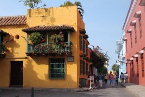 Flores Cartagena