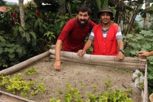 Planta café Colombia