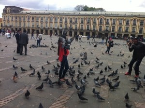 Palomas plaza Bolivar