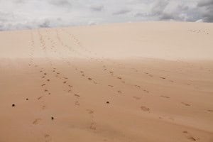 Huellas Lençois Maranhenses