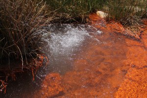 Agua gasificada natural