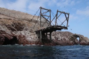 Estructuras guano