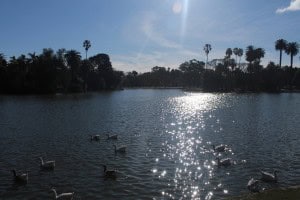 Lago artificial