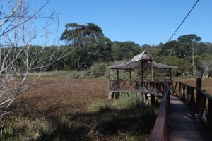 Santa Teresa