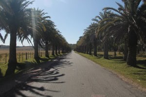 Caminos