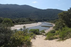 Pequeño lago