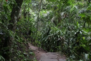 Subida Pedra Bonita