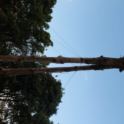 Con este tronco invertido un grupo ecologista quería llamar la atención sobre la cantidad de árboles que caen en São Paulo por falta de cuidados