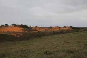 Dunas rojas