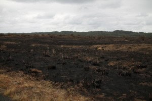 iSimangaliso