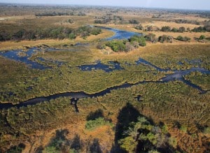 Delta del Okavango
