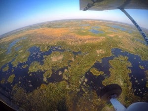 Delta del Okavango
