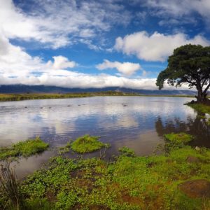 Lago de Ngorongoro
