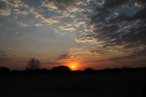Atardecer