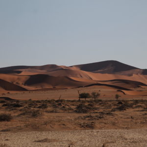 Las sinuosas formas del desierto