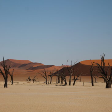 Desierto de Namib (días 409-413)