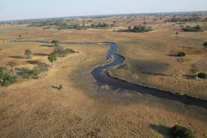 Delta del Okavango