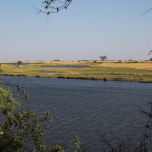 Desde el parque también pudimos tener buenas vistas del río Chobe