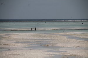Marea baja