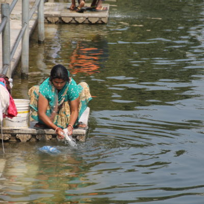 Una mujer lavando ropa en el borde del lago Pichola