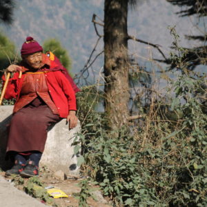 Como esta monja budista, nos encontramos a muchos en Dharamsala