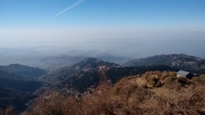Niebla