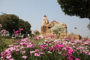 Flores