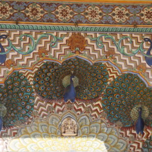 Aunque no vimos ninguno, los pavos reales son un tema recurrente en la decoración de Rajasthan