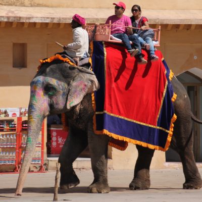 Elefantes con la frente pintada subiendo a turistas al fuerte