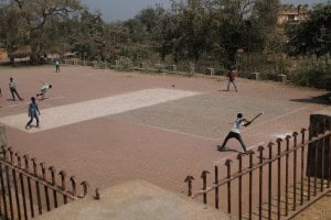 Cricket